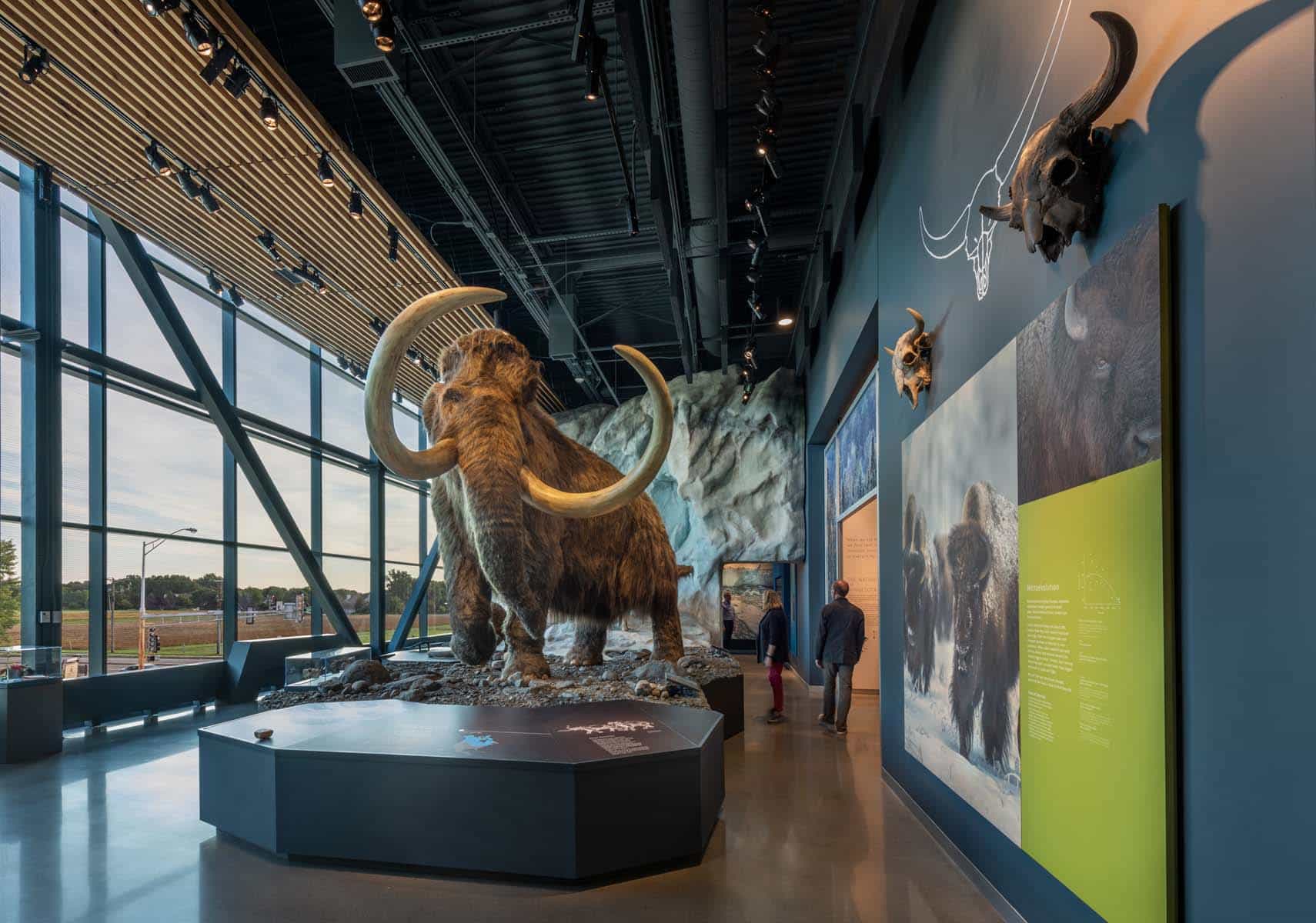 Bell Museum's new planetarium brings the universe home